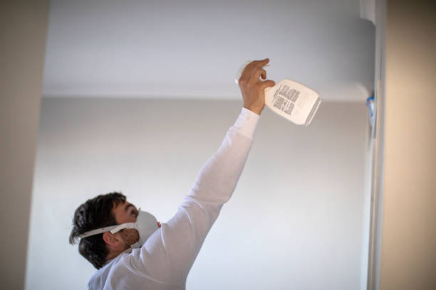 Best Attic Mold Removal  in Chesnut Hill, PA