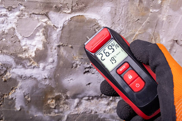 Best Office Mold Removal Services  in Chesnut Hill, PA